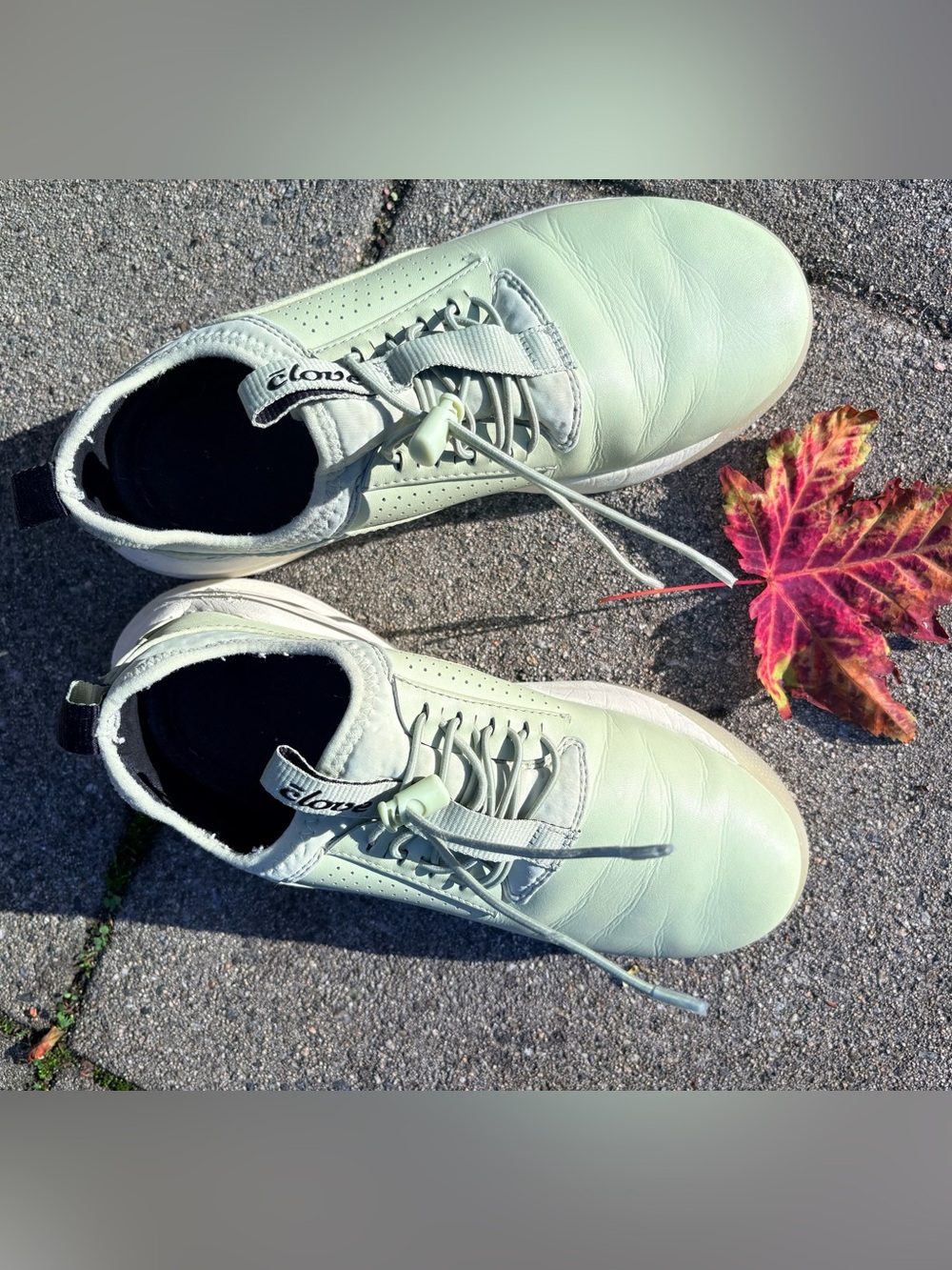 Clove nurse shoes size 6US